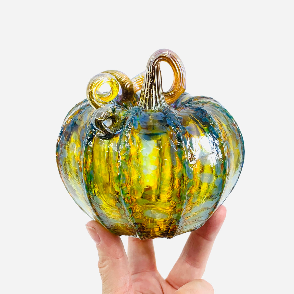 Daily Pumpkin 1819 Squat