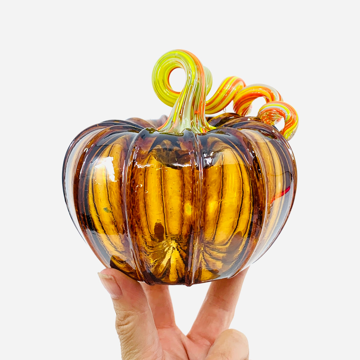 Daily Pumpkin 3207 Fall Squat