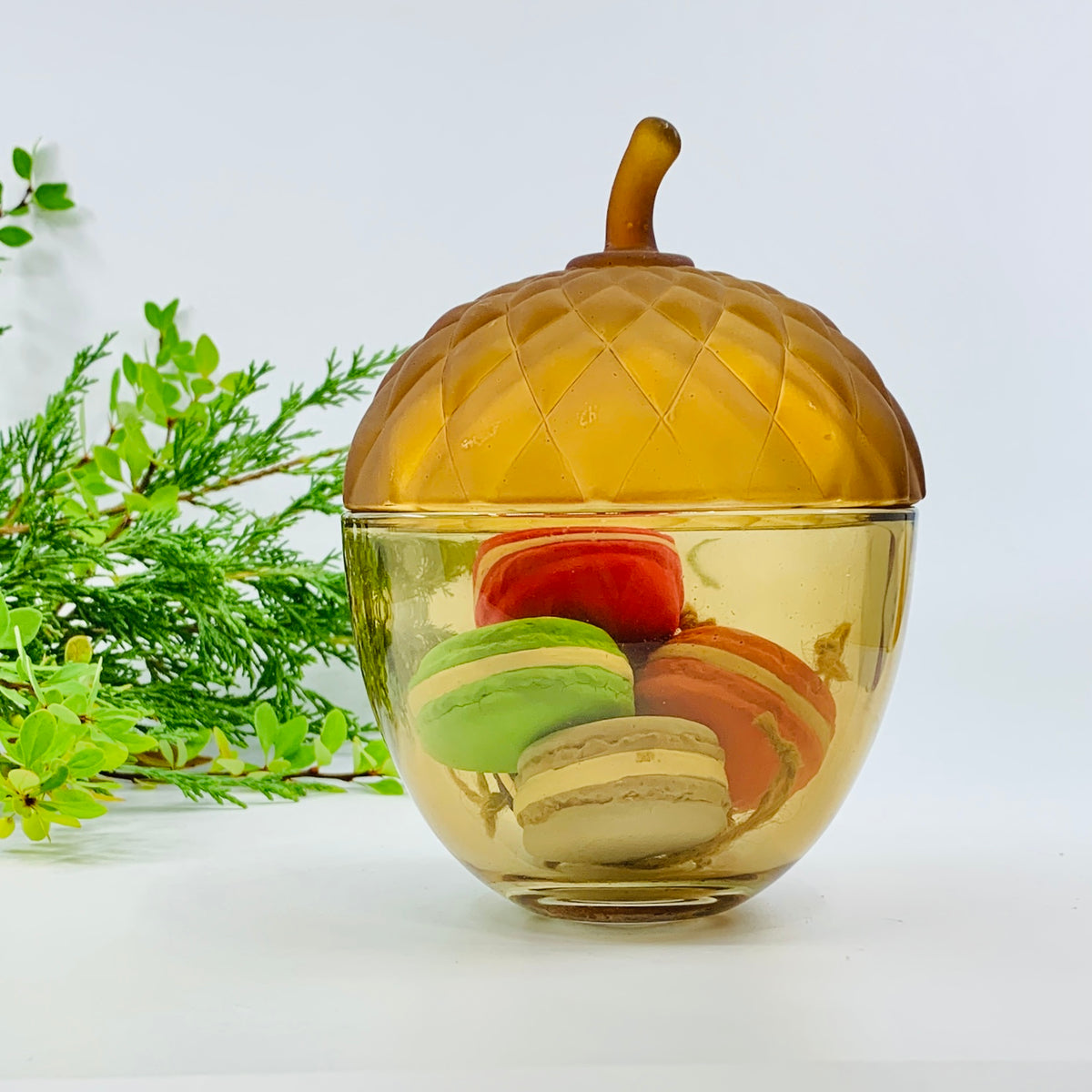 Glass Acorn Jar, Tan