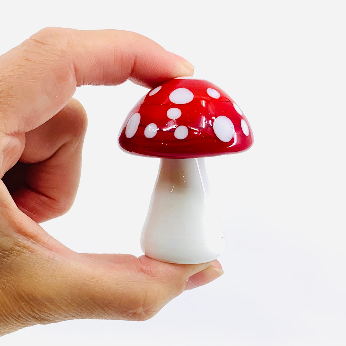 Pocket Toadstool