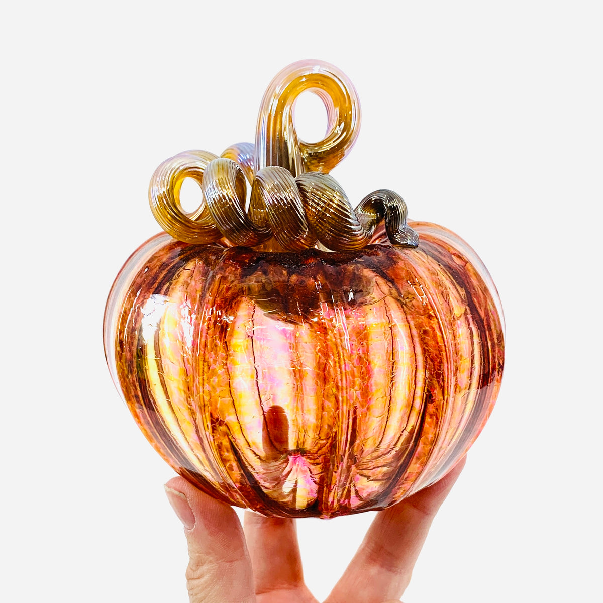 Daily Pumpkin 1893 Squat