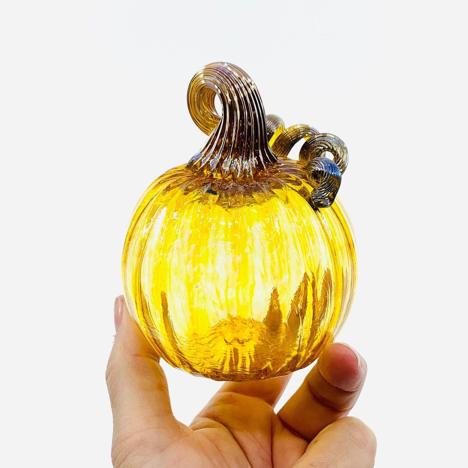 Daily Pumpkin 3602 Fall Mini Gabby Luke Adams Glass Blowing Studio 