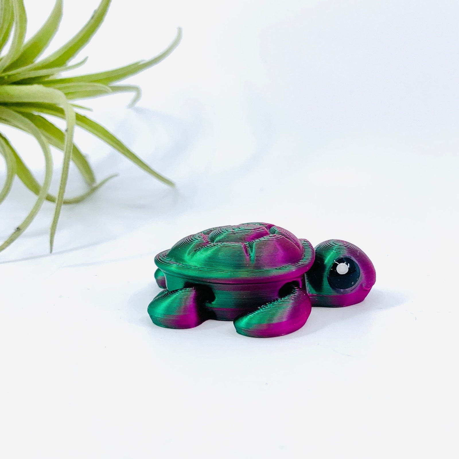 3D-Print Animals, Baby Turtle - Assorted Colors LUZ CUSTOM DESIGN 