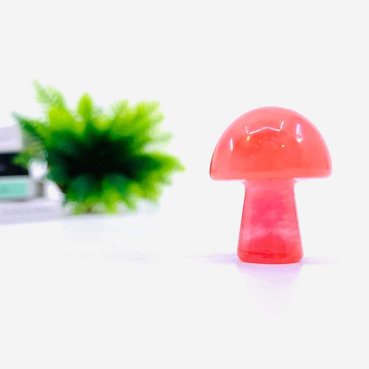Mini Stone Mushrooms, Assorted 3 Pack