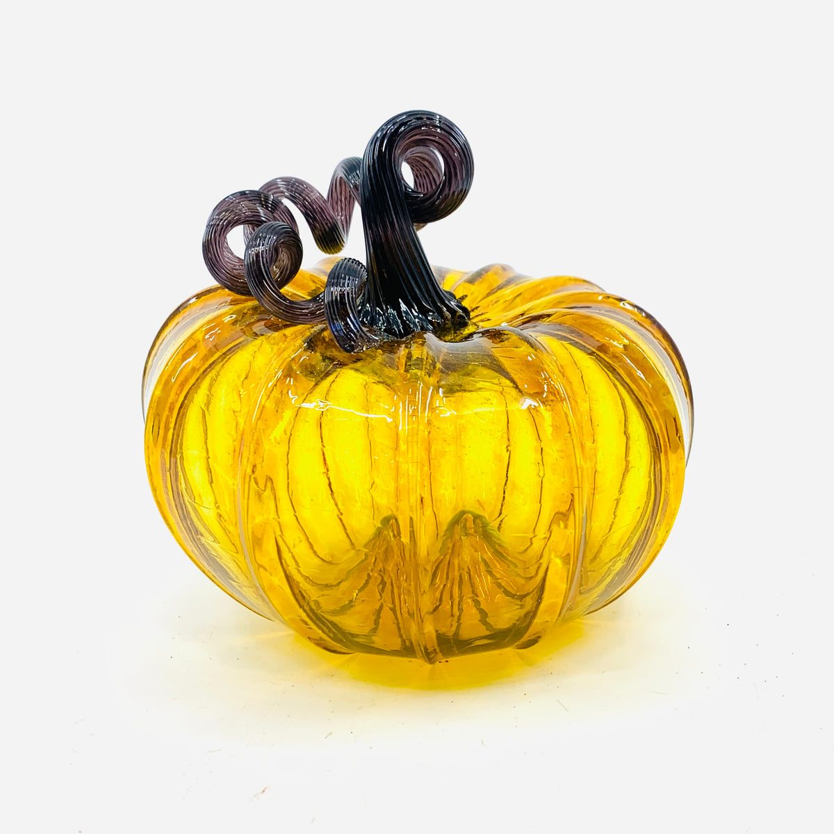 Daily Pumpkin 3579 Fall Squat