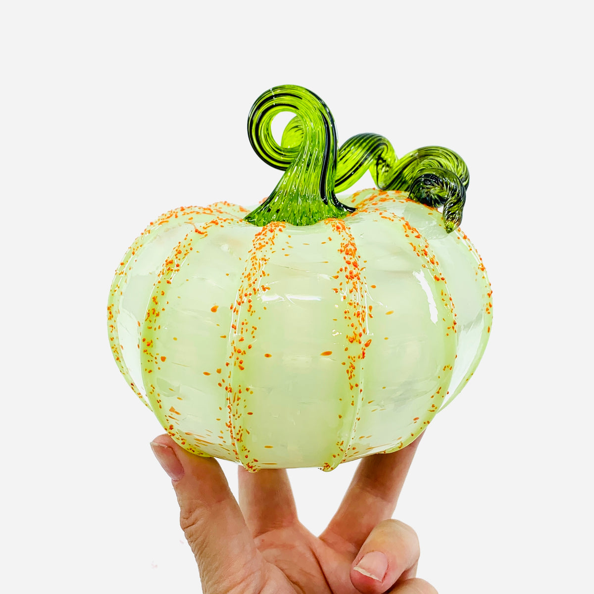 Daily Pumpkin 3591 Fall Squat