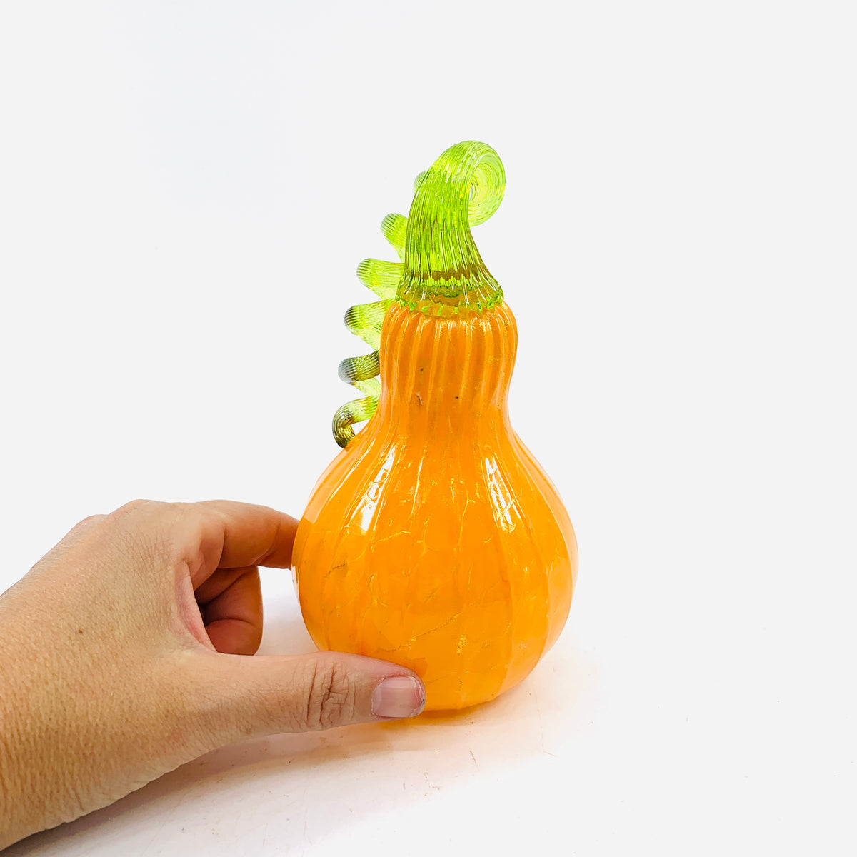 Daily Pumpkin 247 Gourd