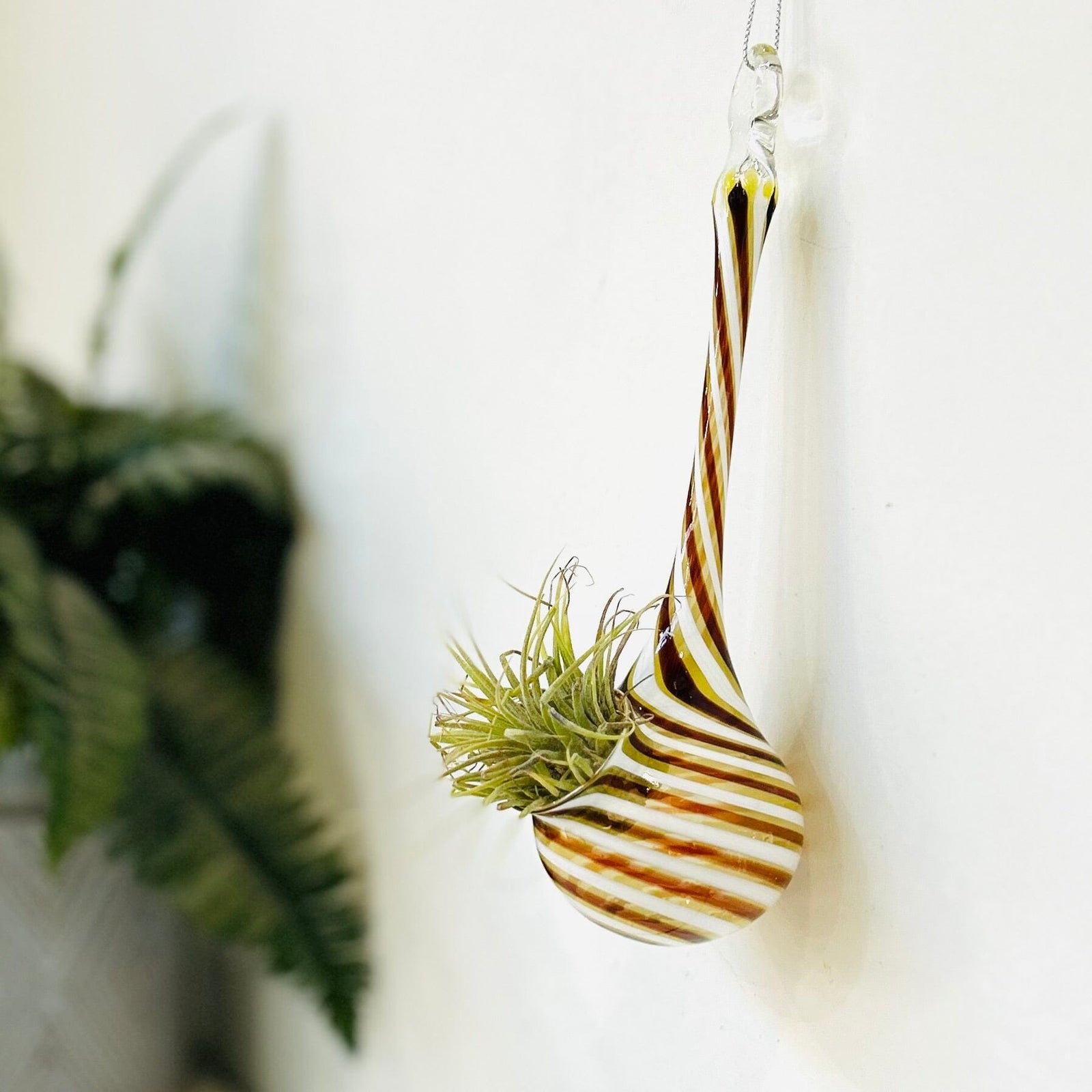 Air Plant Hanging Drop Vase 14 Decor Probstein Studios 