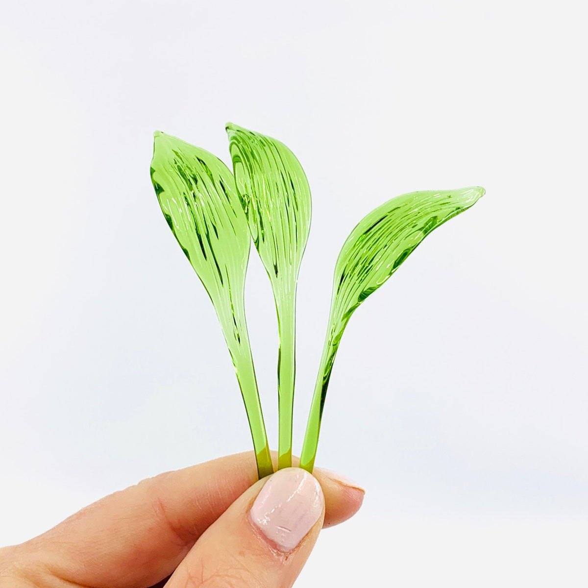 Tiny Leaves - Build Your Own Bouquet Alex Straight Leaf 