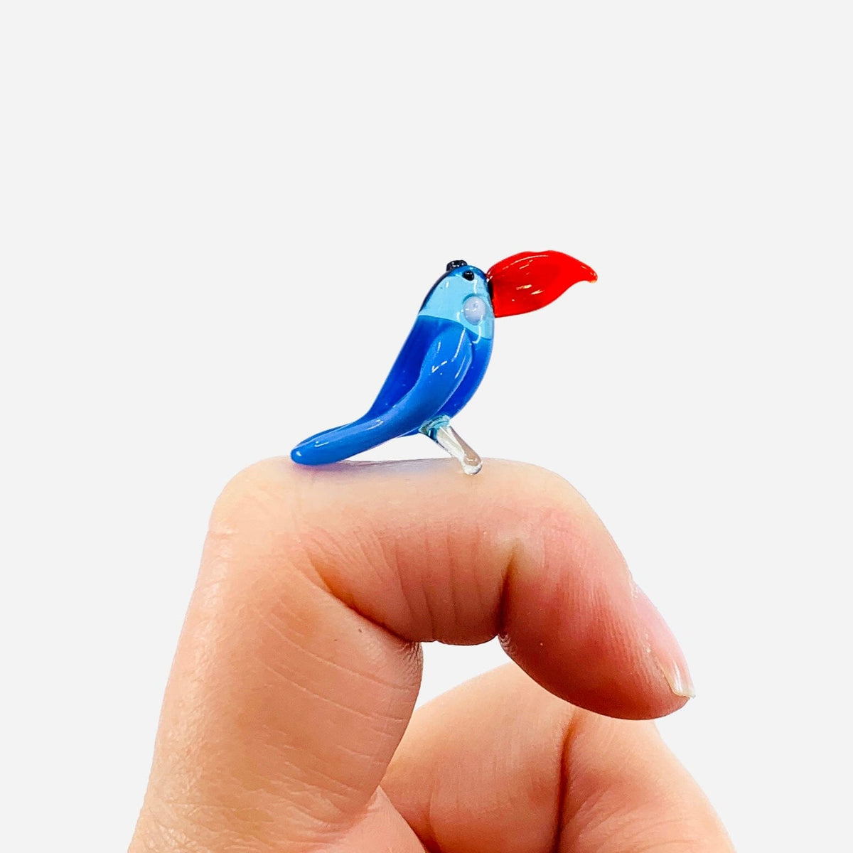 Teeny Teensie Blue Toucan 95 JACO 