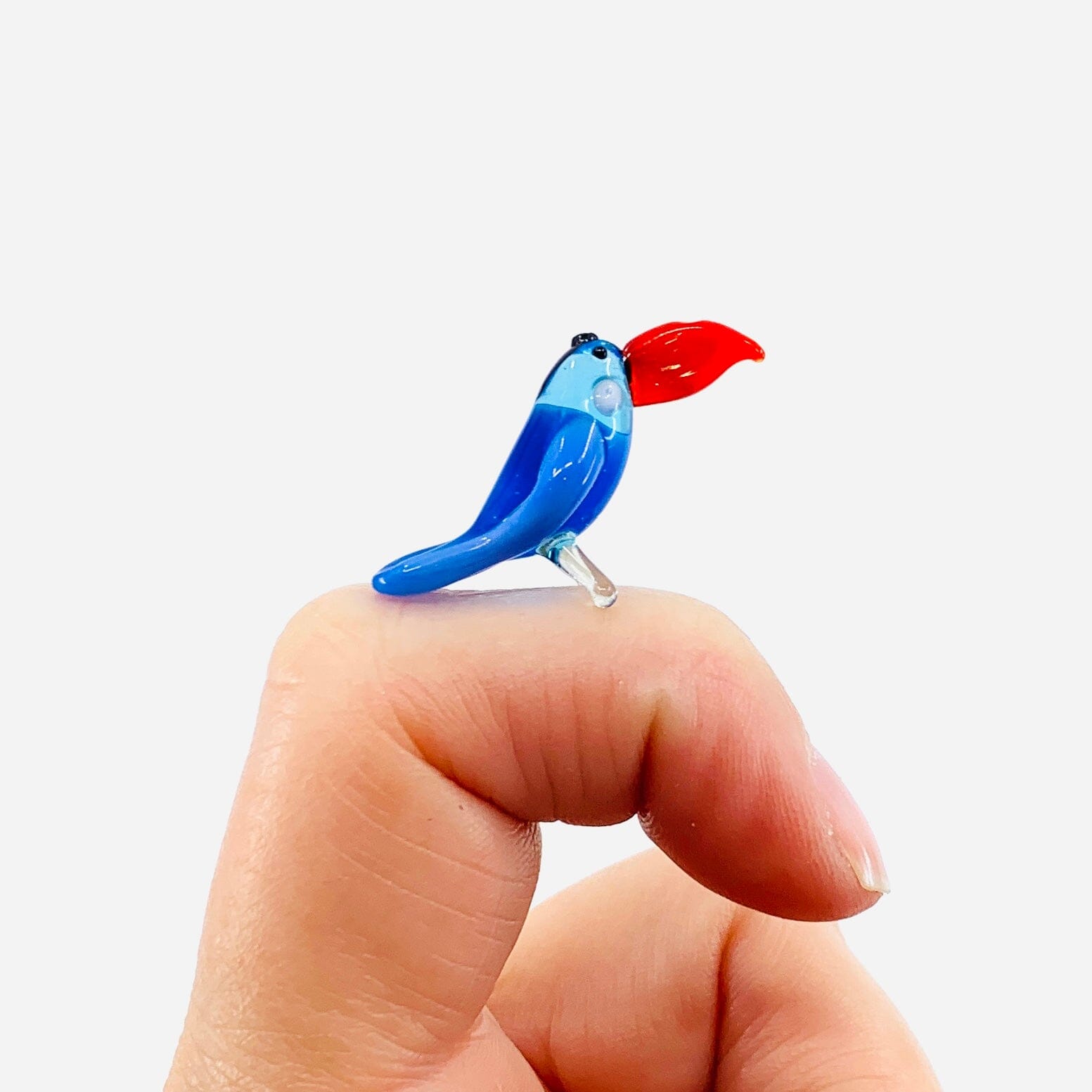 Teeny Teensie Blue Toucan 95 JACO 