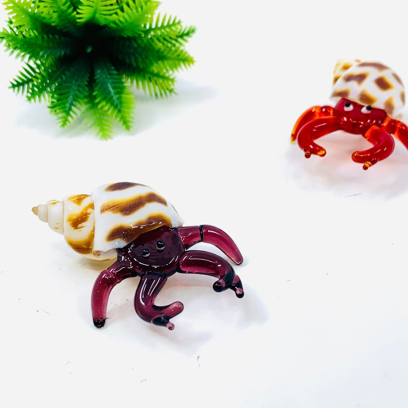 Hermit Crab, Purple Decor Chesapeake Bay 