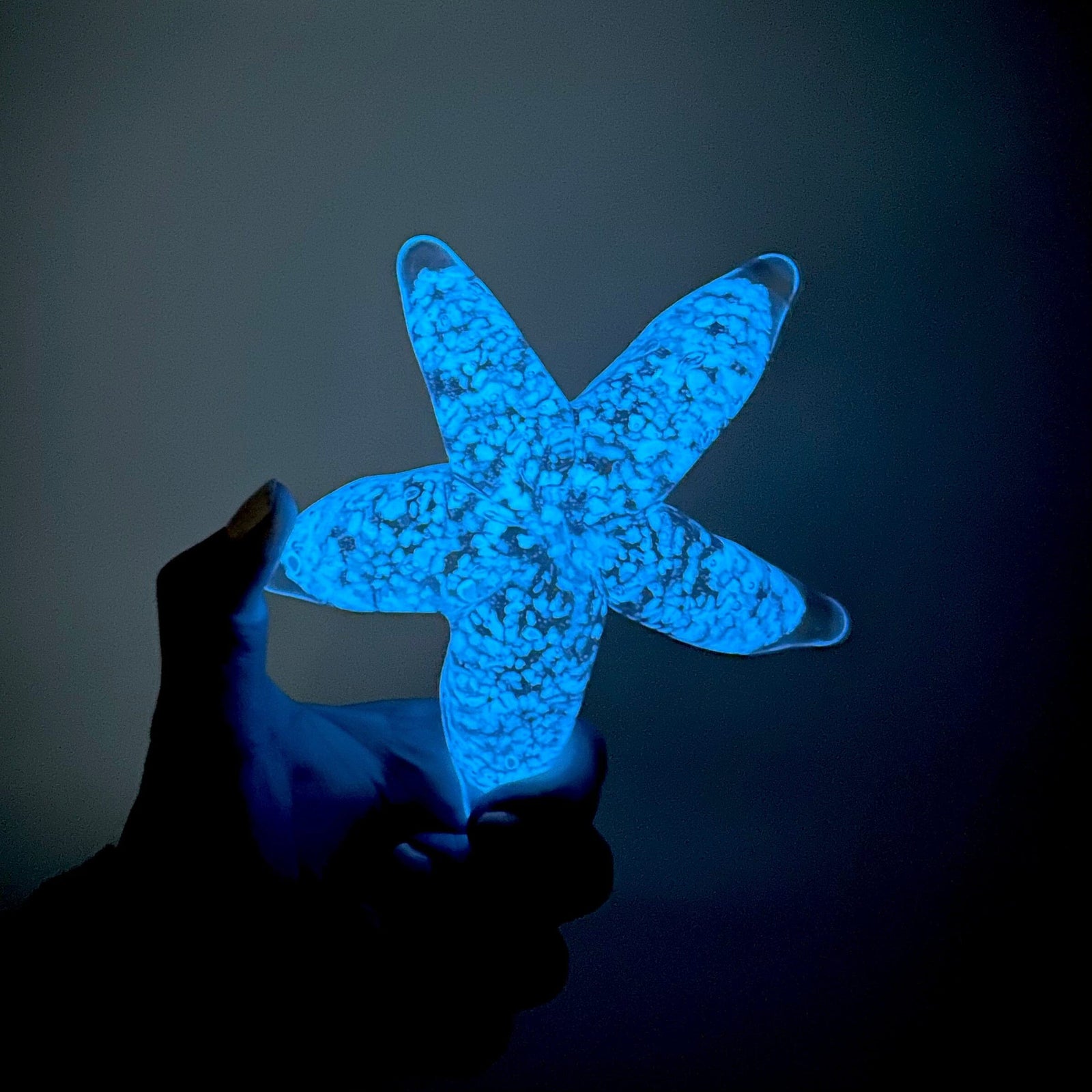 Glow in The Dark Sea Star Decor Beachcombers 