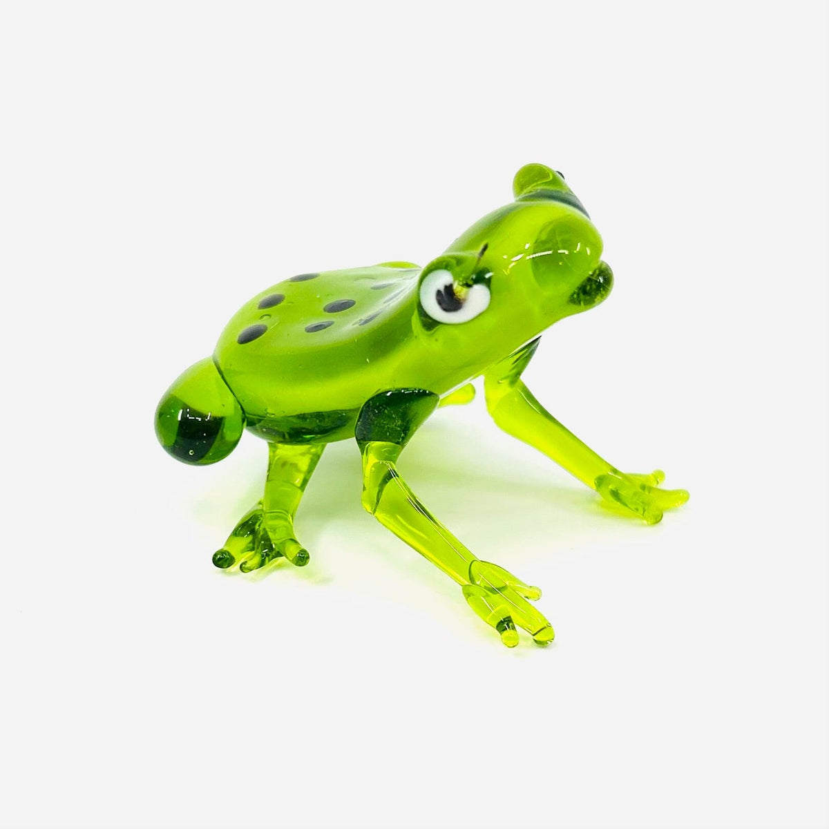 Pocket Frog Miniature Gift Essentials 