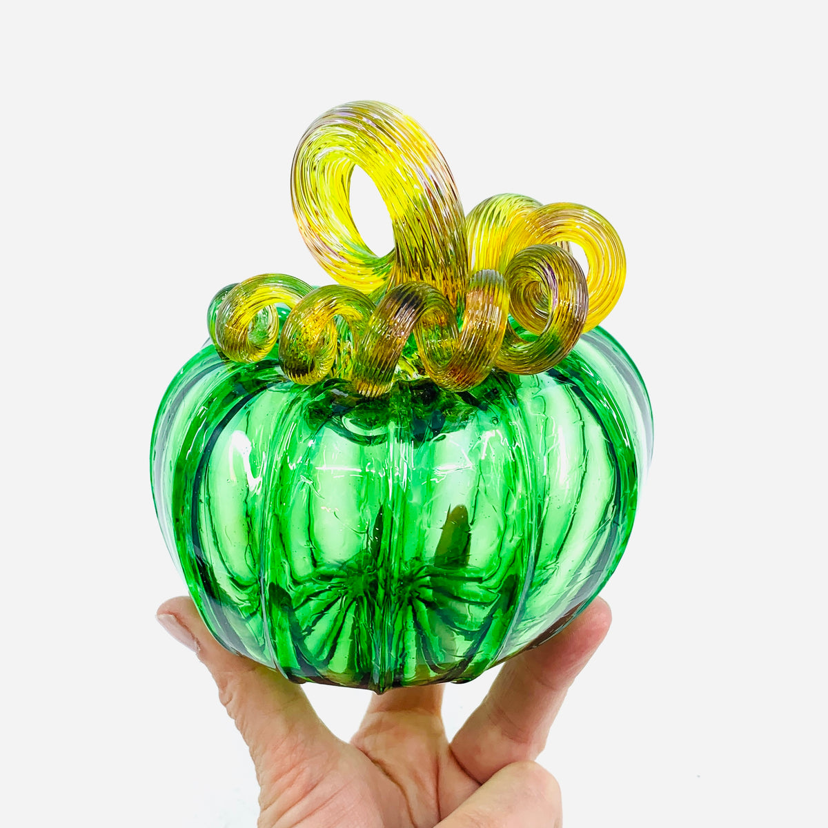 Daily Pumpkin 1127 Rainbow Stem Squat