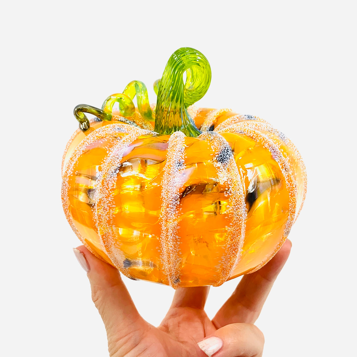 Daily Pumpkin 283 Fall Squat