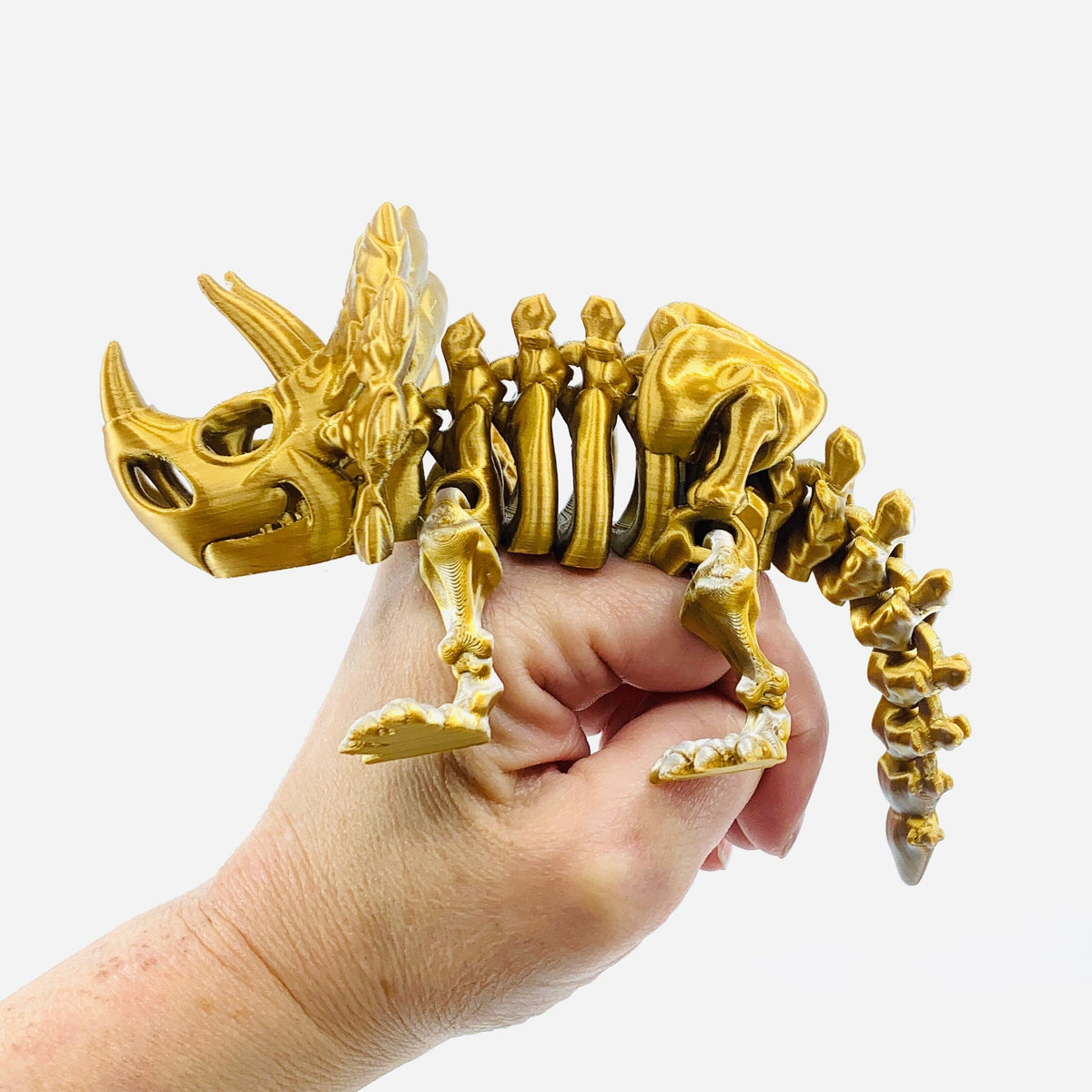 3D-Print Skeleton Triceratops - 50 LUZ CUSTOM DESIGN 