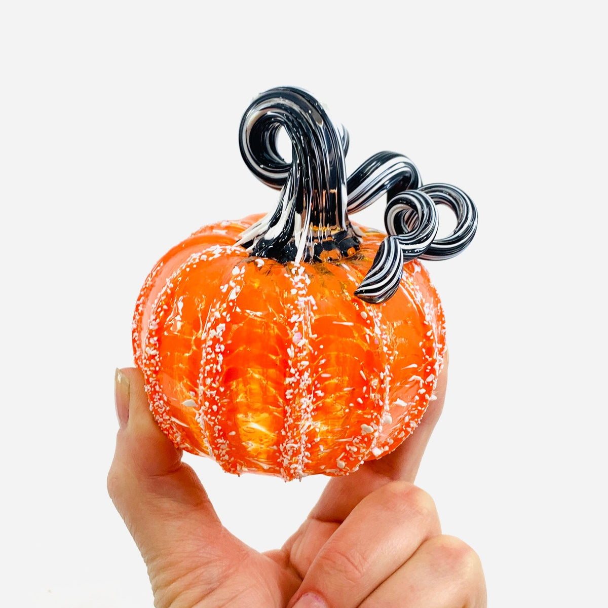 Daily Pumpkin 3502 Luke Adams Iconic Mini