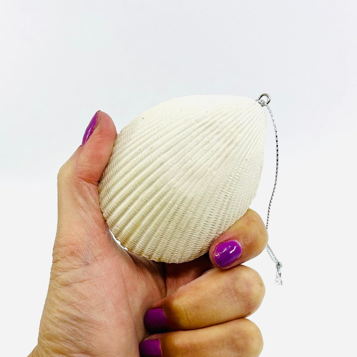 Sea Turtle in Shell Ornament Chesapeake Bay 