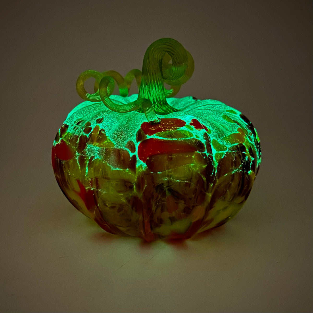 Best Daily Glow Pumpkin 3669 Jumbo Squat
