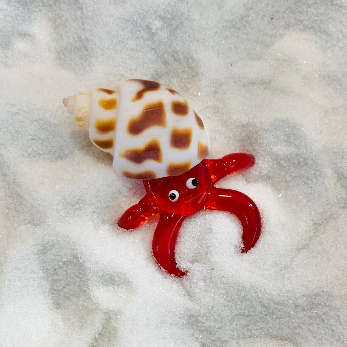 Hermit Crab, Purple Decor Chesapeake Bay 