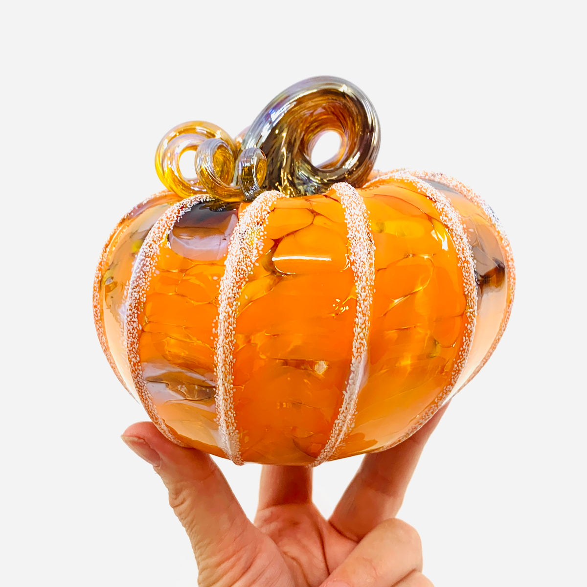 Daily Pumpkin 3711 Fall Squat