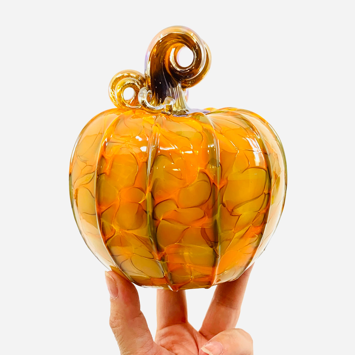 Daily Pumpkin 3357 Fall Squat