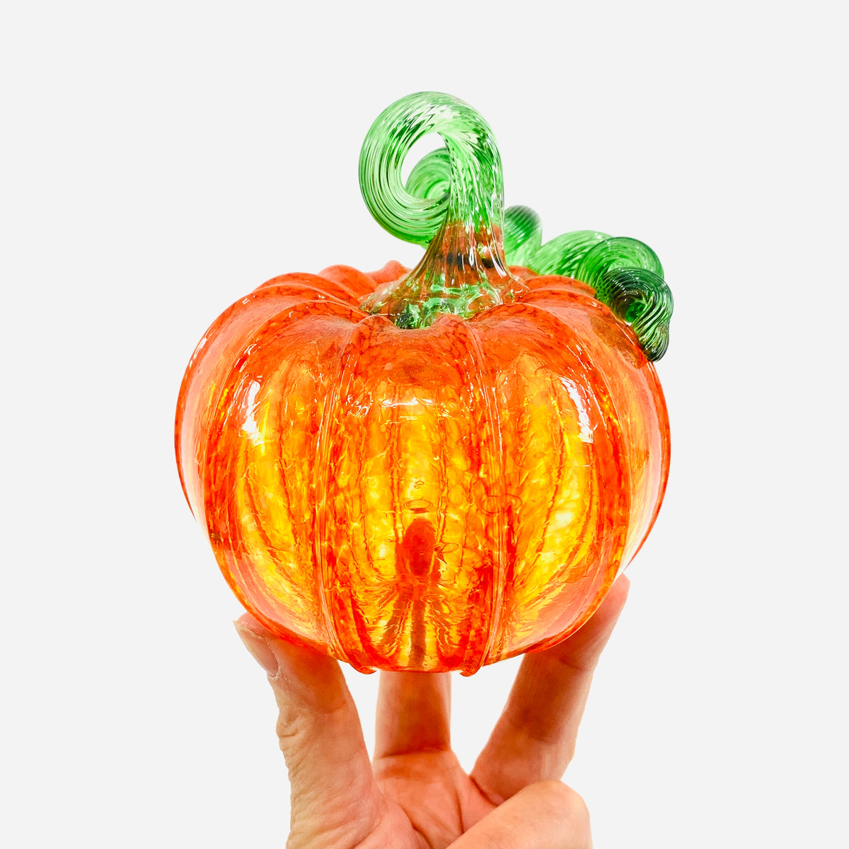Daily Pumpkin 1446 Squat