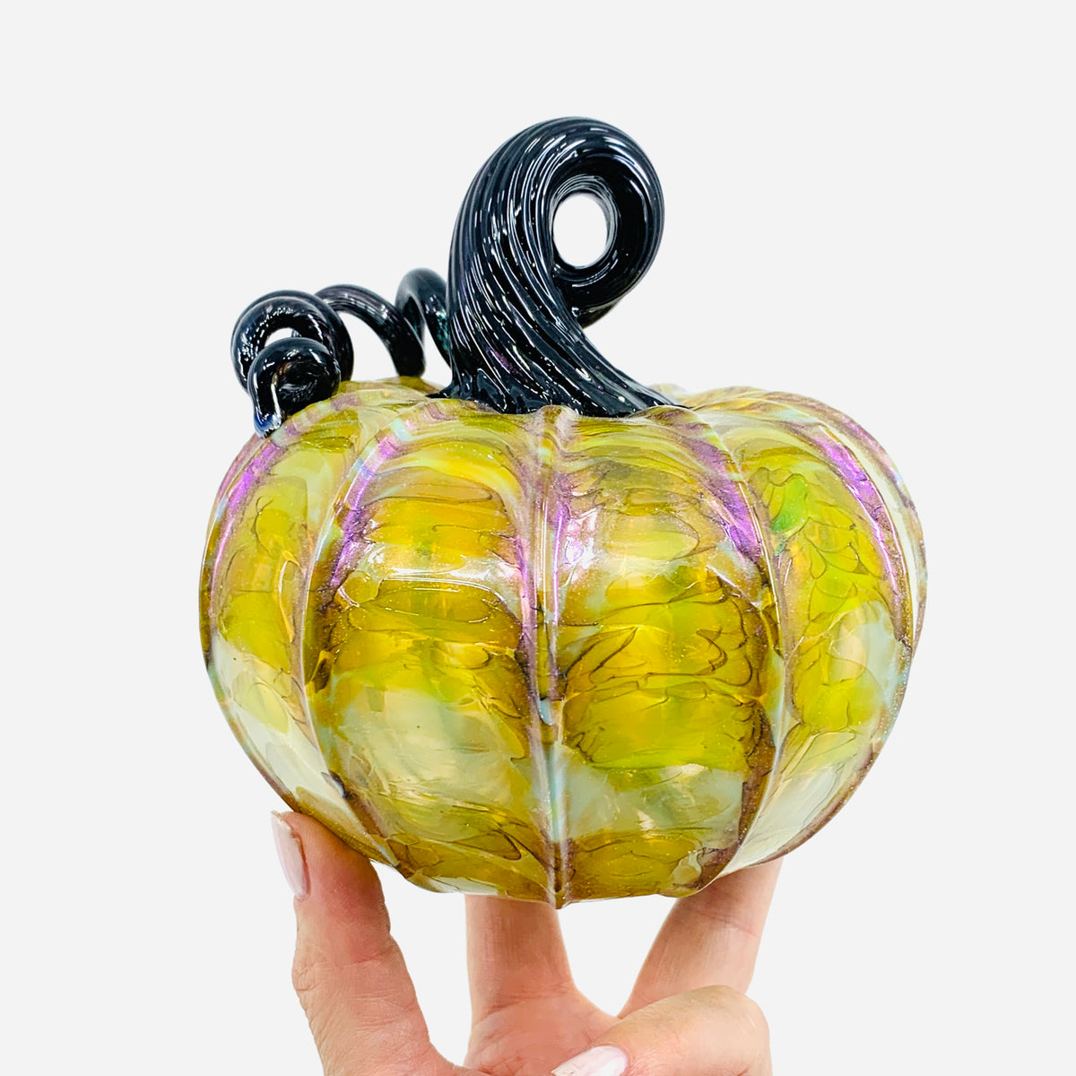Daily Pumpkin 273 Fall Squat