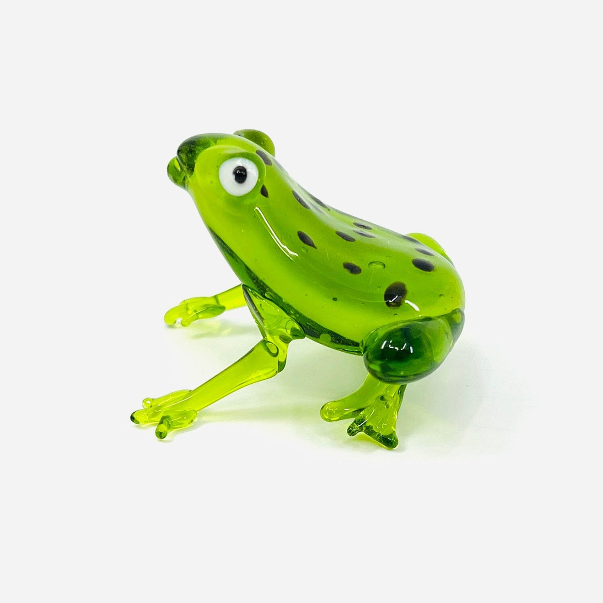 Pocket Frog Miniature Gift Essentials 