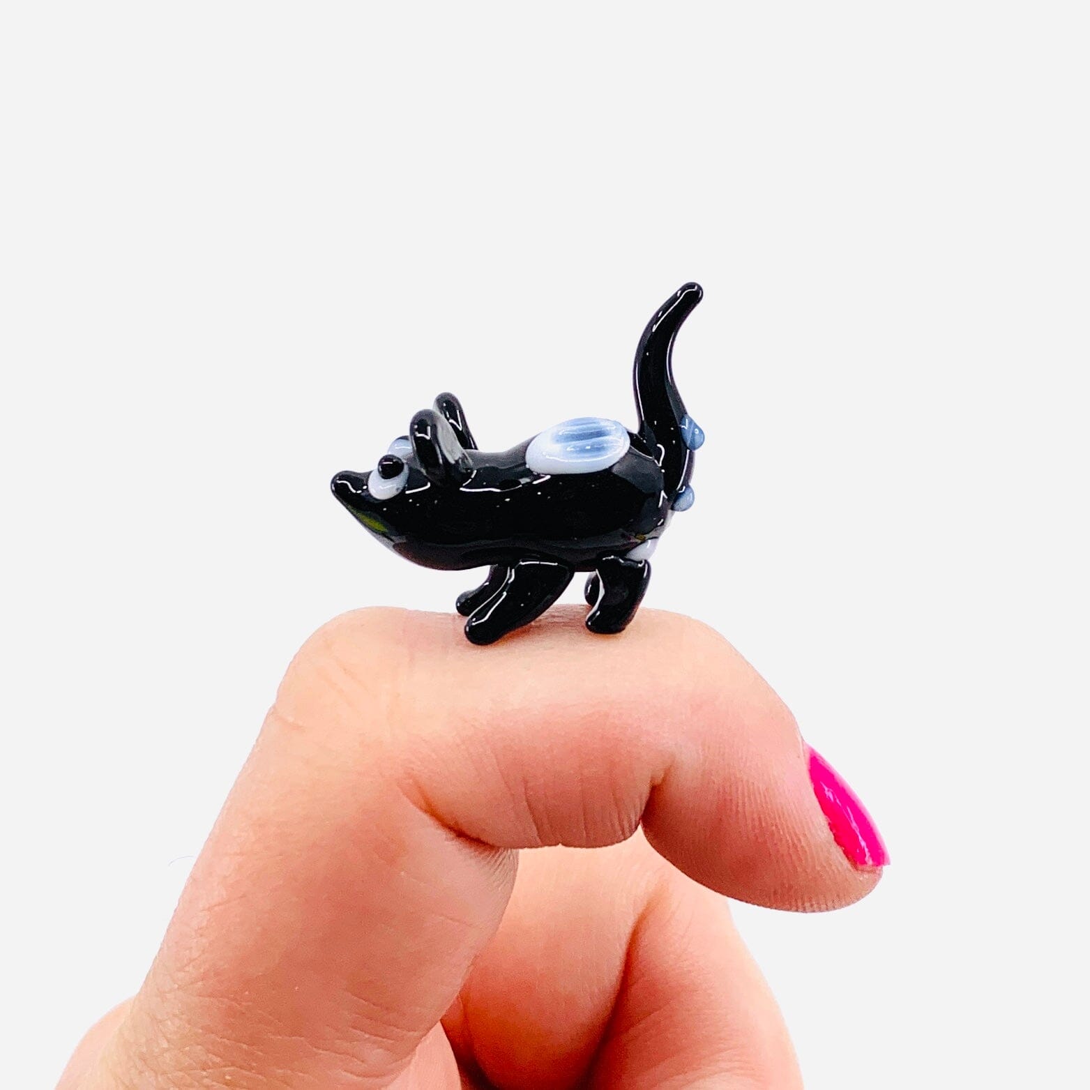 Teeny Teensie Skunk JACO 