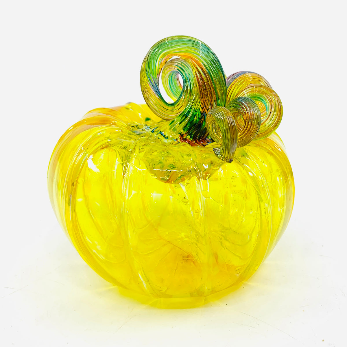 Daily Pumpkin 1113 Rainbow Stem Squat