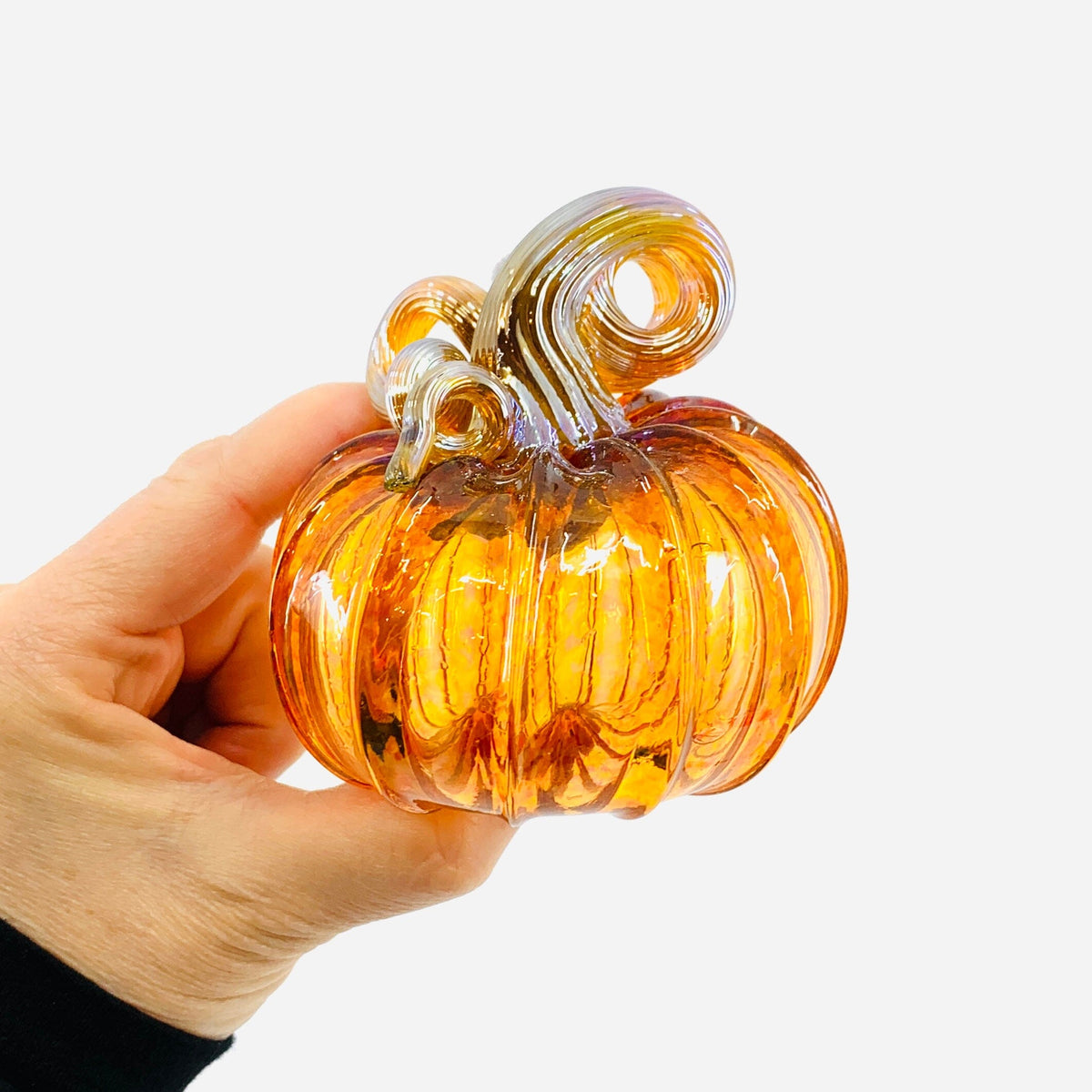 Daily Pumpkin 3712 Cutie Gabby Luke Adams Glass Blowing Studio 