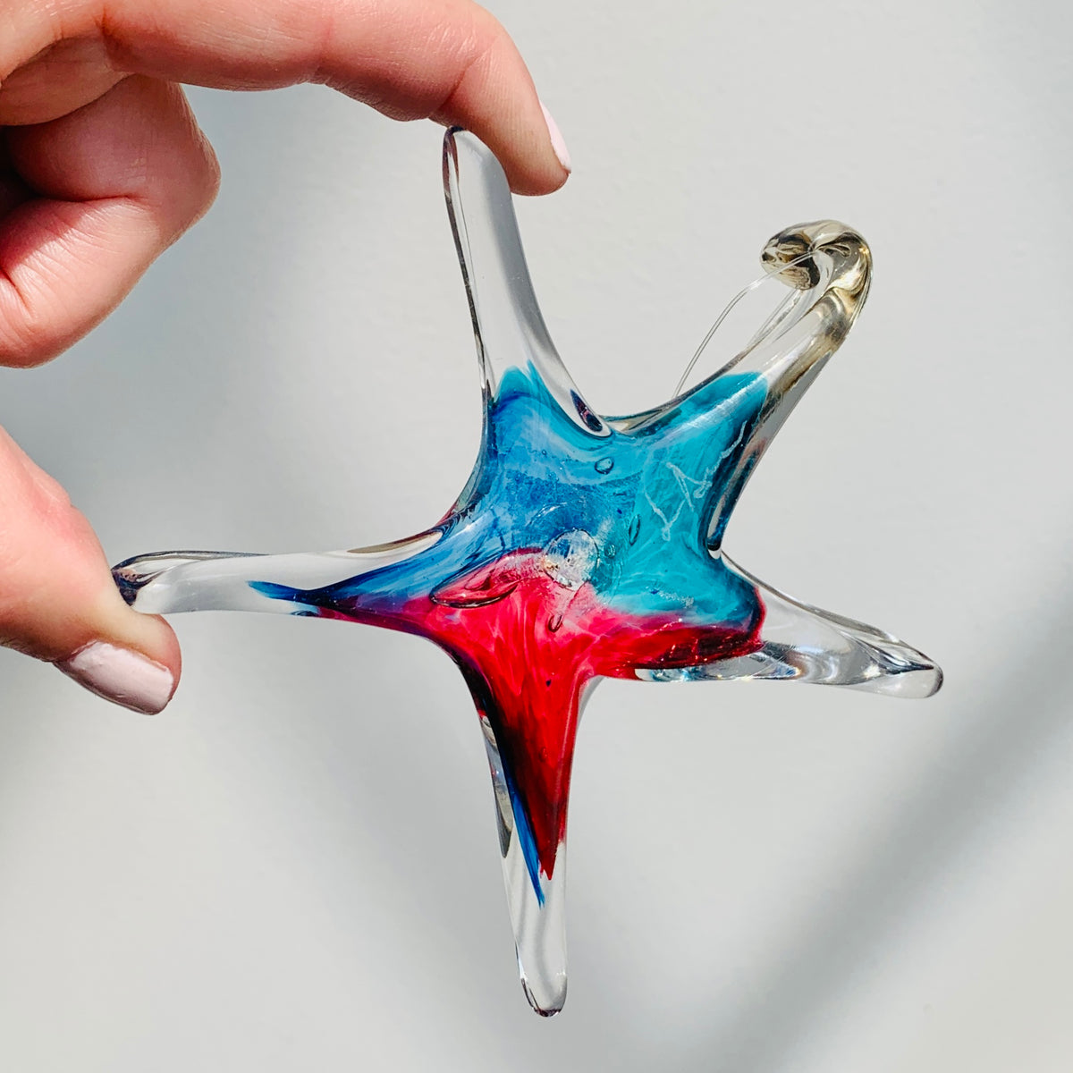 Daily Pumpkin 1195 Signed Starfish Suncatcher