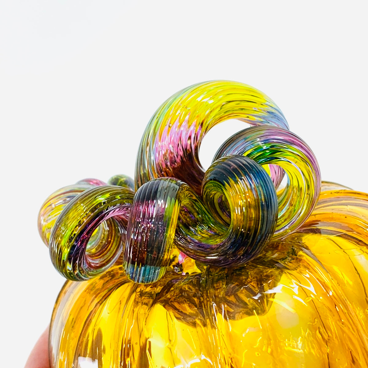 Daily Pumpkin 1103 Rainbow Stem Squat