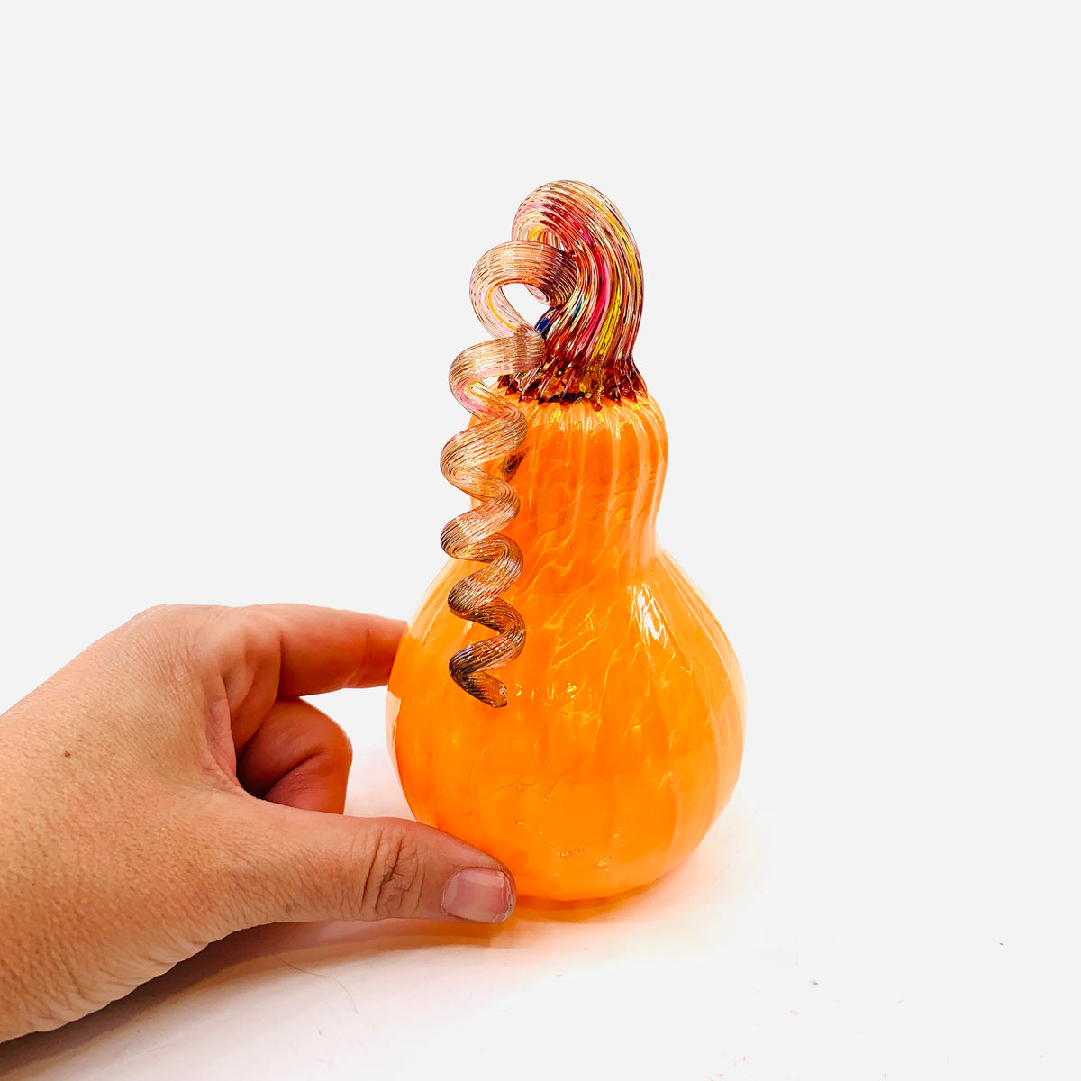 Daily Pumpkin 249 Gourd