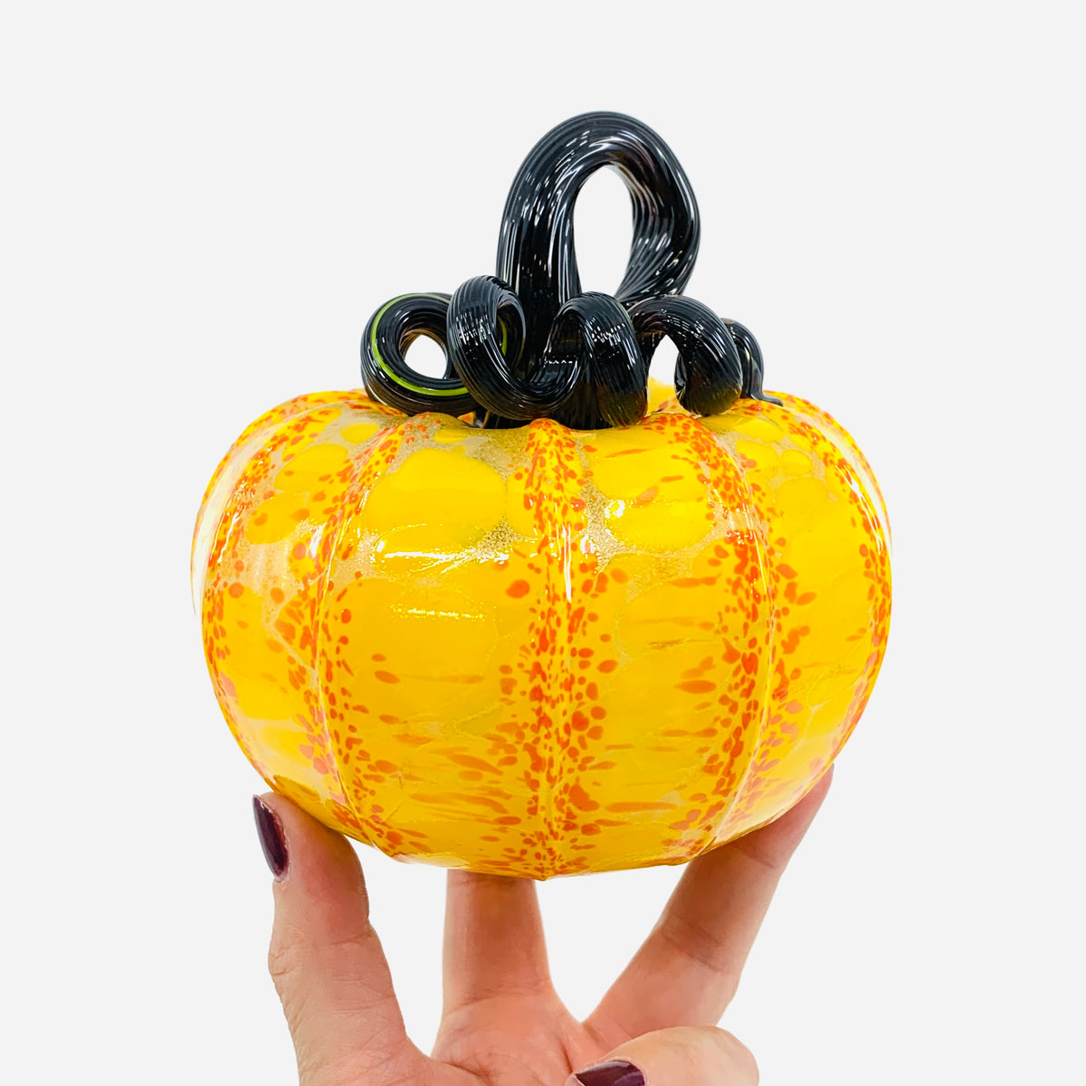 Daily Pumpkin 3943 Fall Squat