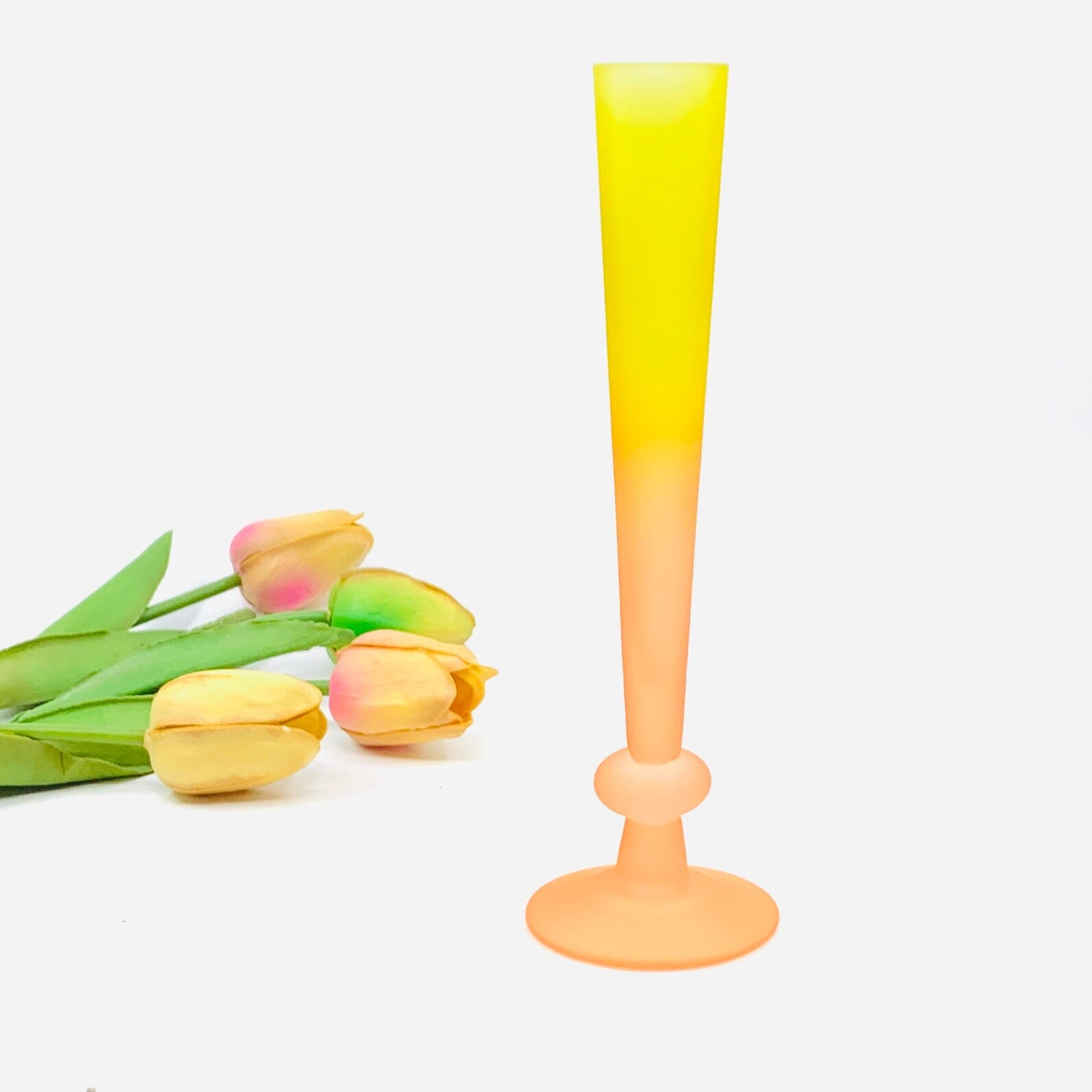 Rainbow Ombre Bud Vases-1 One Hundred 80 Degrees 