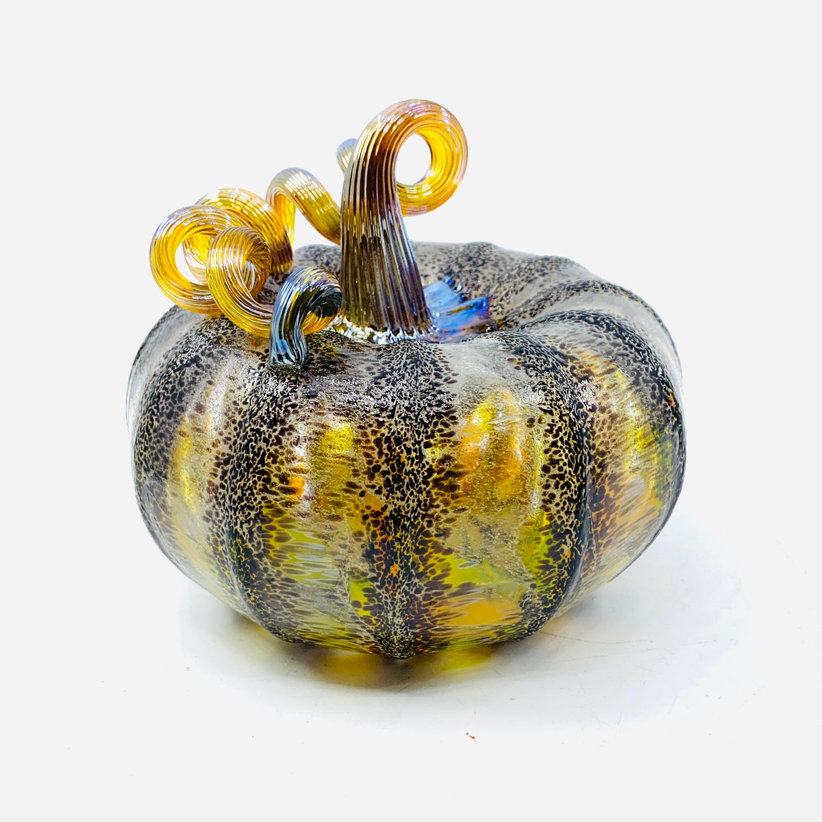 Daily Glow Pumpkin 881 Squat