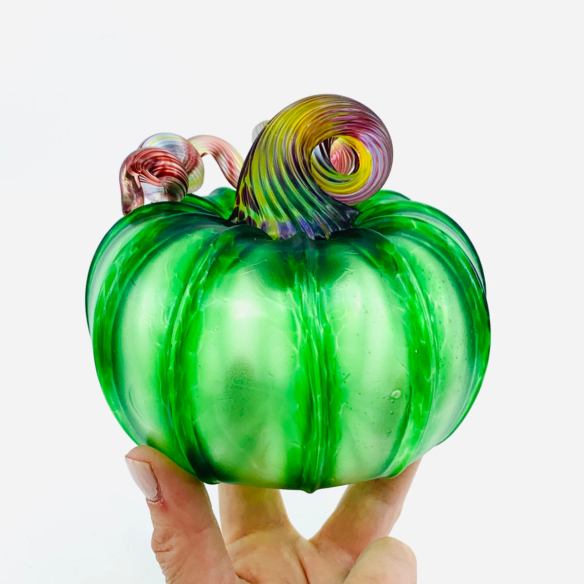 Daily Pumpkin 1188 Matte “Rainbow Stem” Squat