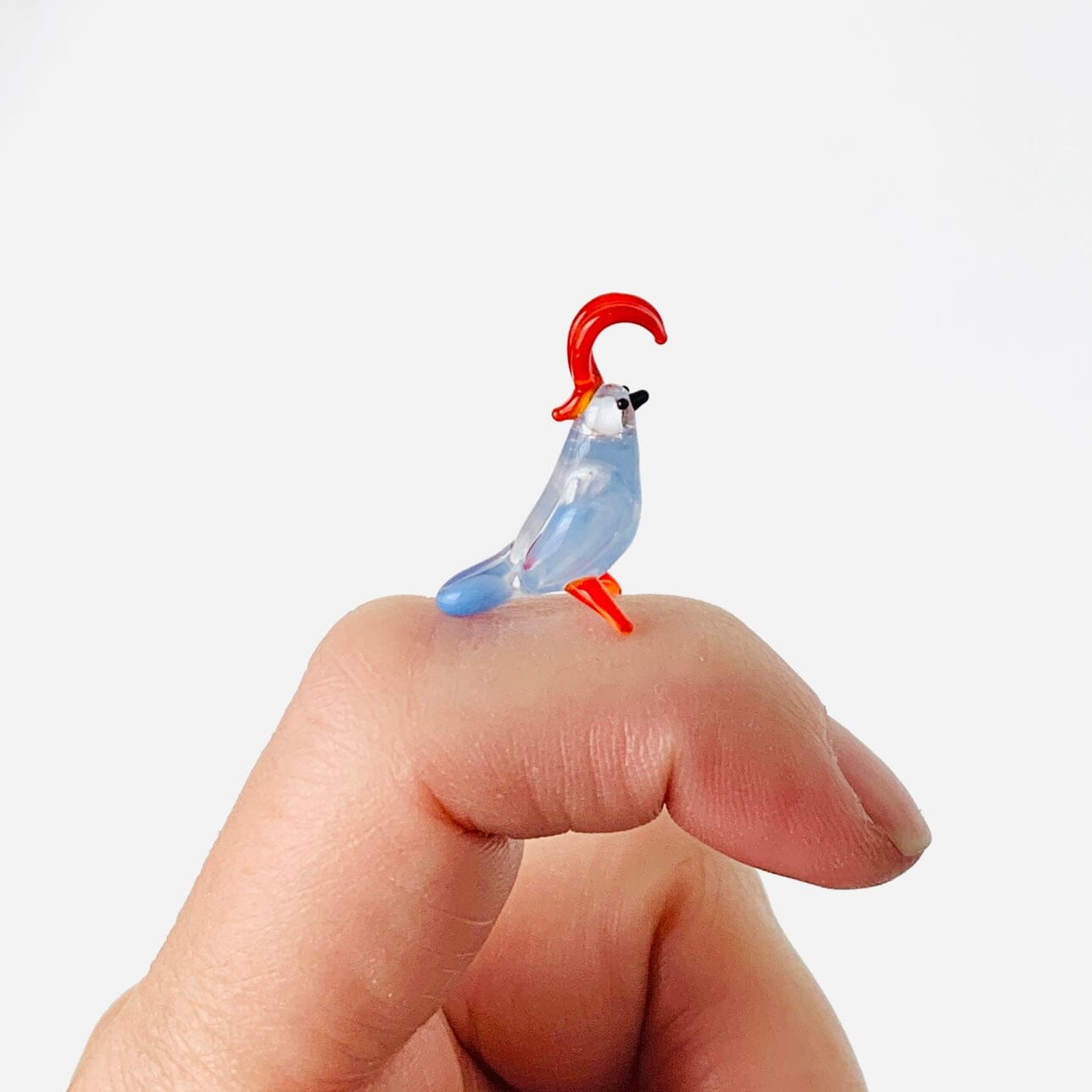 Teeny Teensie Tropical Bird 79 JACO 