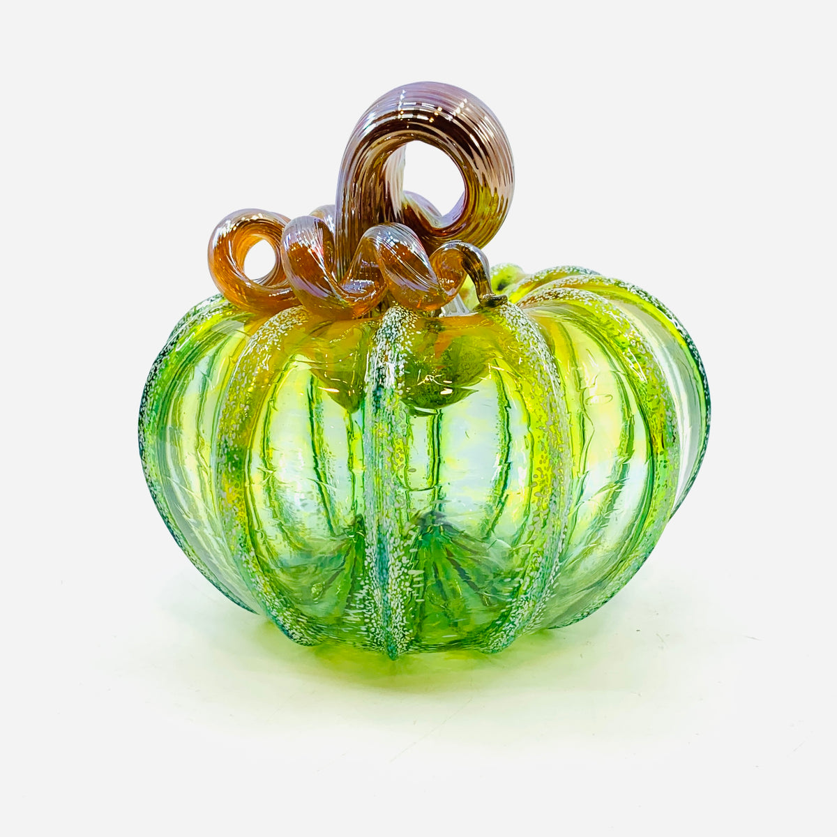 Daily Pumpkin 3710 Fall Squat