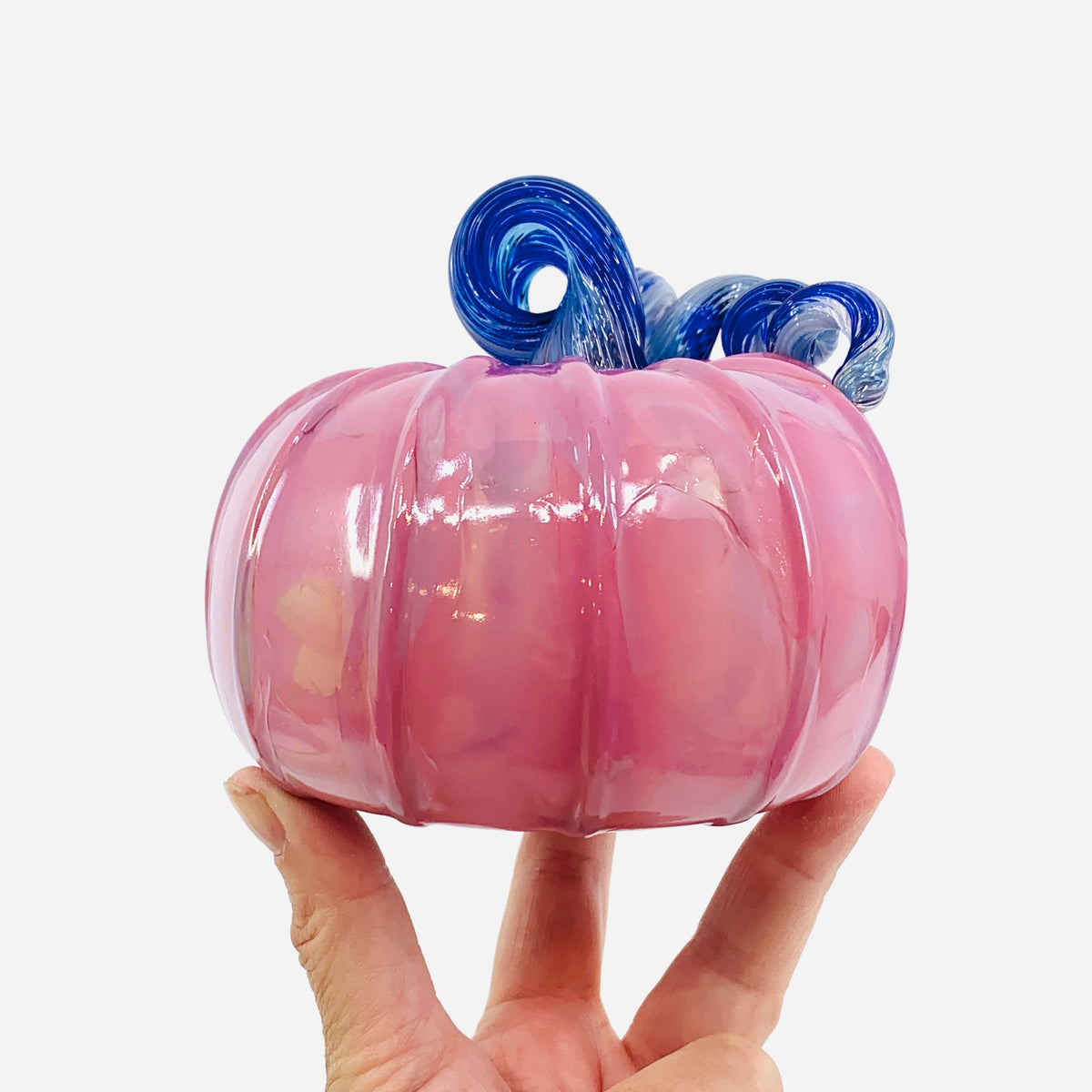 Daily Pumpkin 2234 Oops Squat