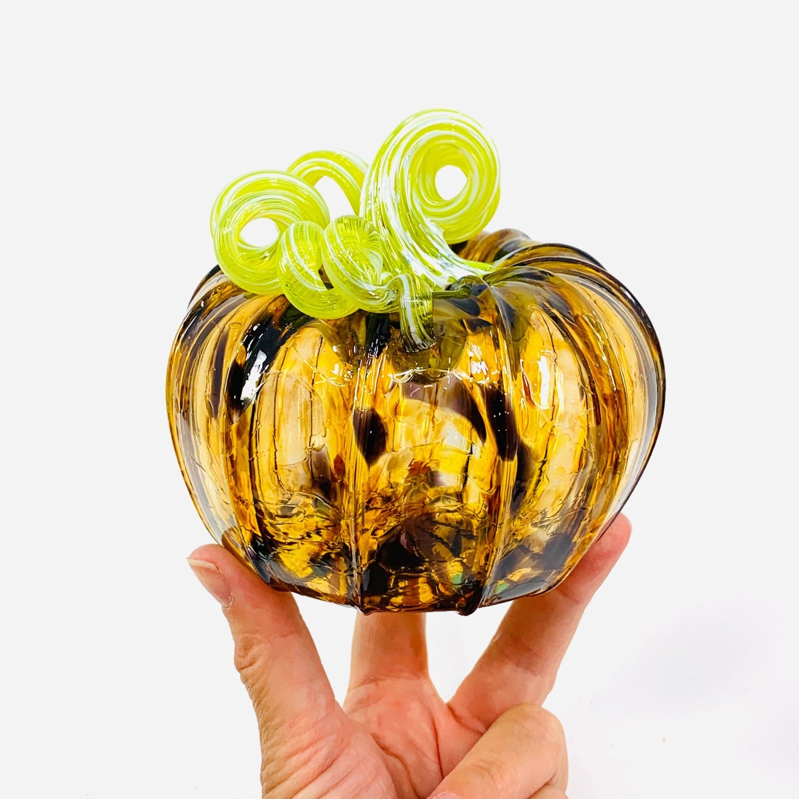 Daily Pumpkin 2598 Squat Gabby Luke Adams Glass Blowing Studio 