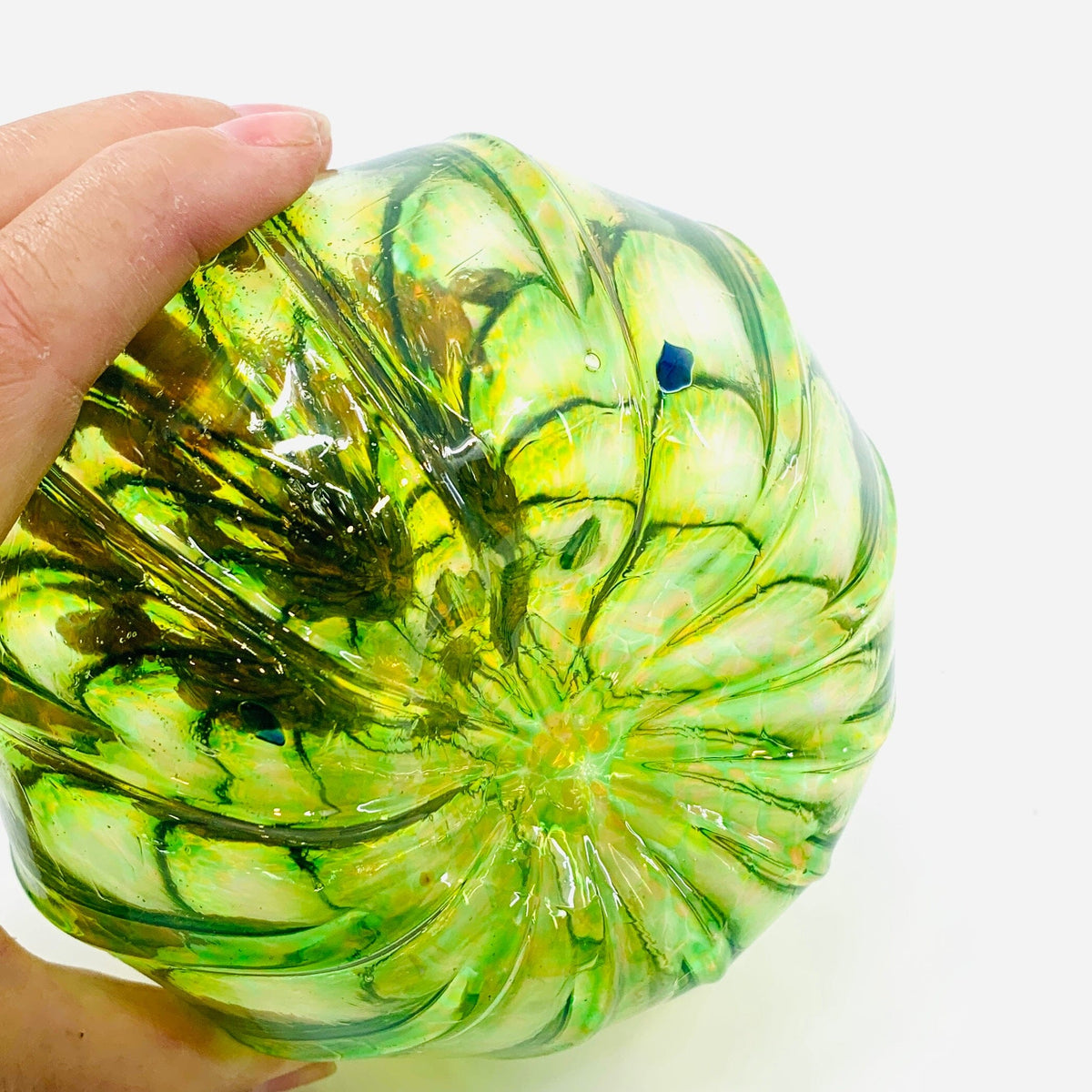 Daily Pumpkin 2338 Squat Gabby Luke Adams Glass Blowing Studio 