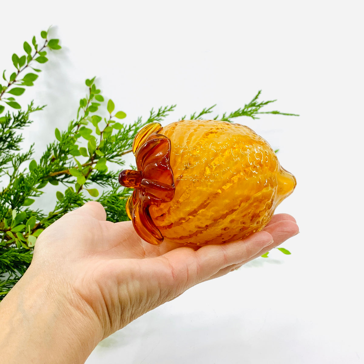 Glass Acorn, Swirl