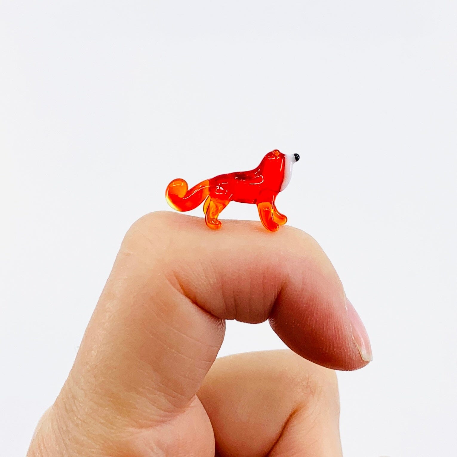 Teeny Teensie Bushy Tail 80 JACO 