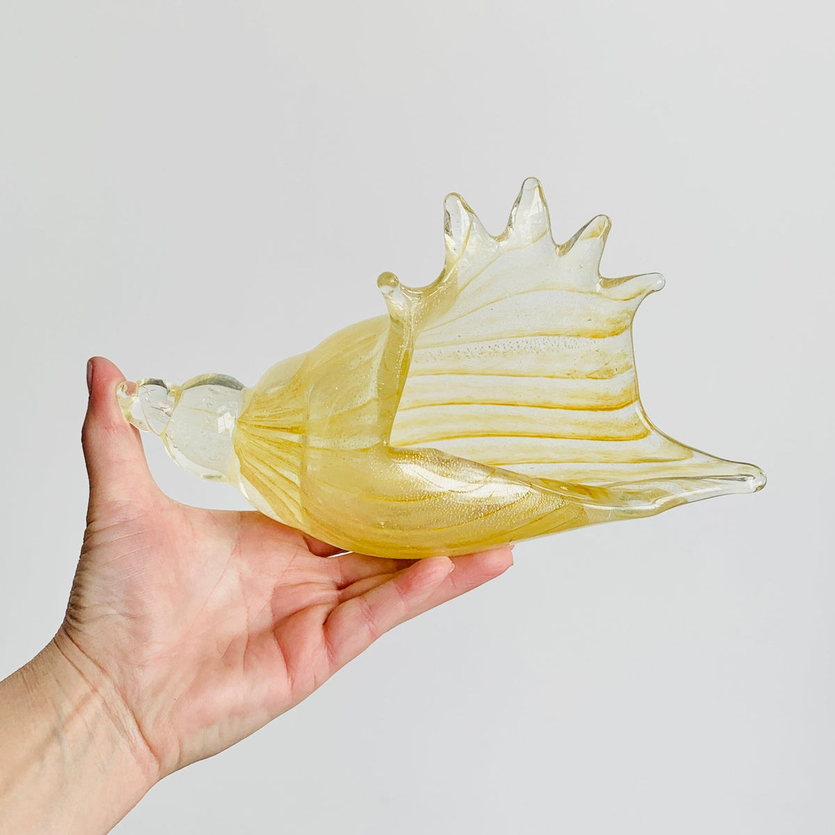 Natural Glass Conch Shell Decor Beachcombers 