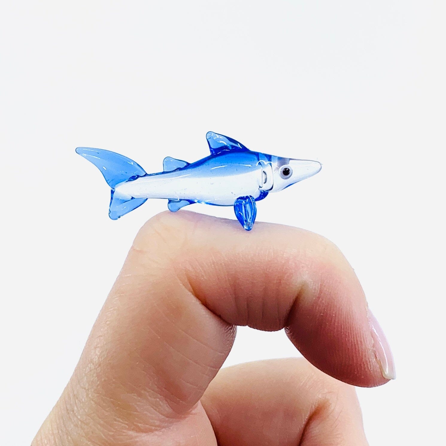 Teeny Teensie Shark 109 JACO 