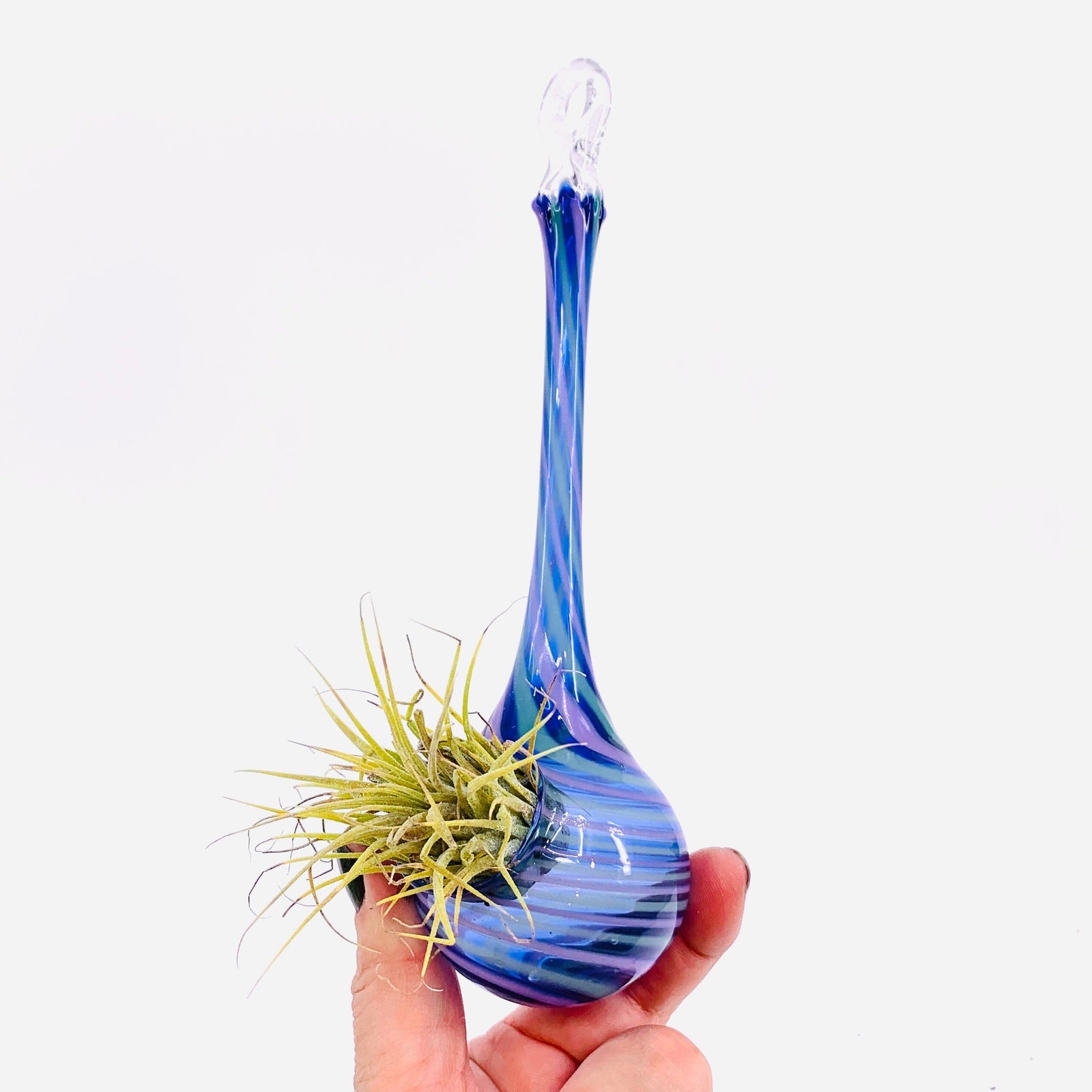 Air Plant Hanging Drop Vase 5 Decor Probstein Studios 